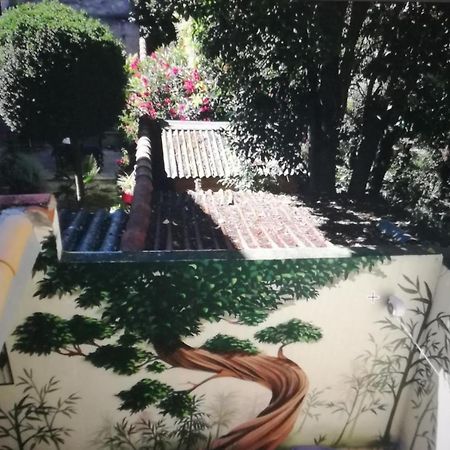 Suite Farniente Avec Patio Et Clim 蒙彼利埃 外观 照片